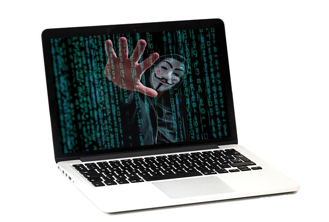 cybercrime