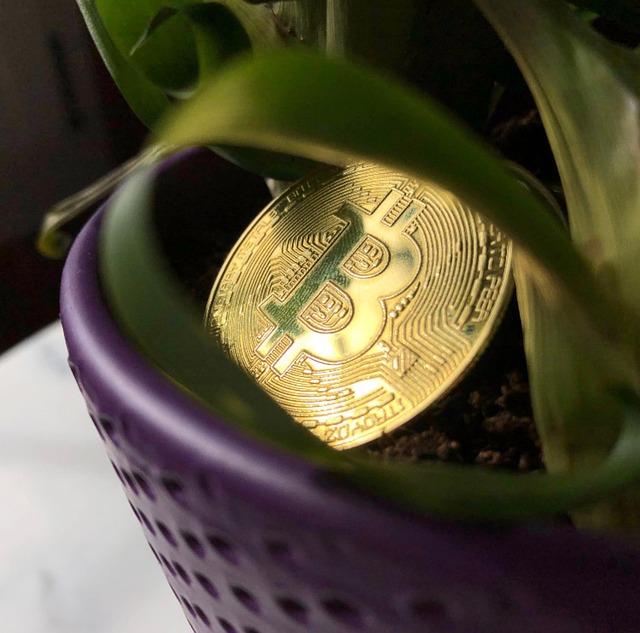 cryptocurrency