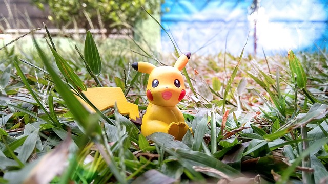 Pokémon