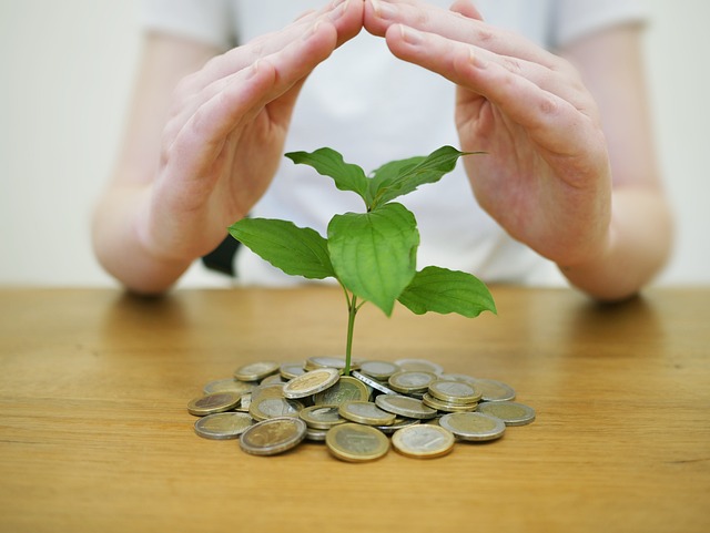 investing